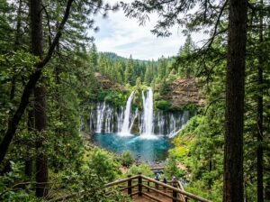 Burney Falls summer view