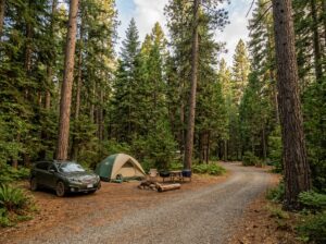 Camping near Burney Falls